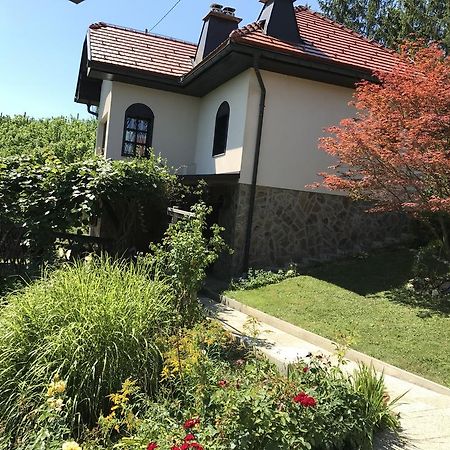 Wine & Nature & Tour Zgornji Leskovec Ngoại thất bức ảnh