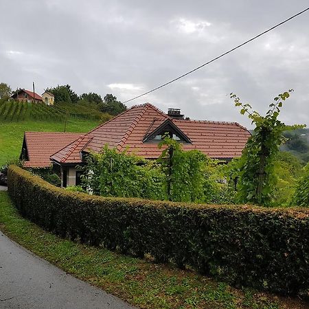 Wine & Nature & Tour Zgornji Leskovec Ngoại thất bức ảnh