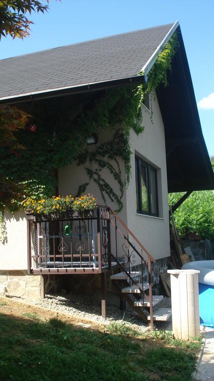 Wine & Nature & Tour Zgornji Leskovec Ngoại thất bức ảnh
