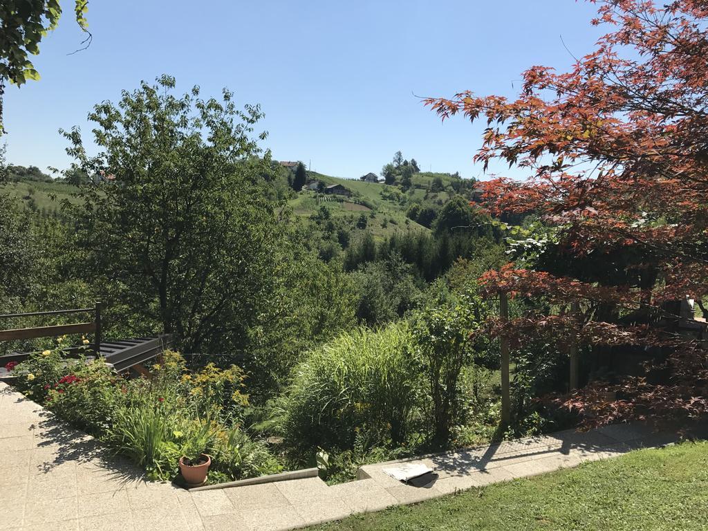 Wine & Nature & Tour Zgornji Leskovec Ngoại thất bức ảnh