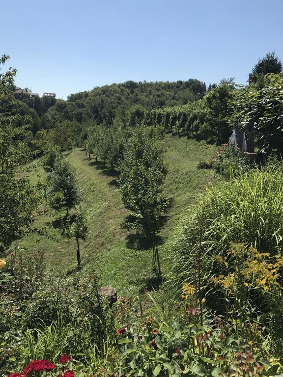 Wine & Nature & Tour Zgornji Leskovec Ngoại thất bức ảnh