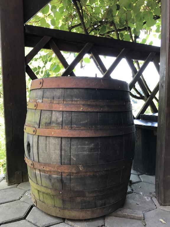 Wine & Nature & Tour Zgornji Leskovec Ngoại thất bức ảnh