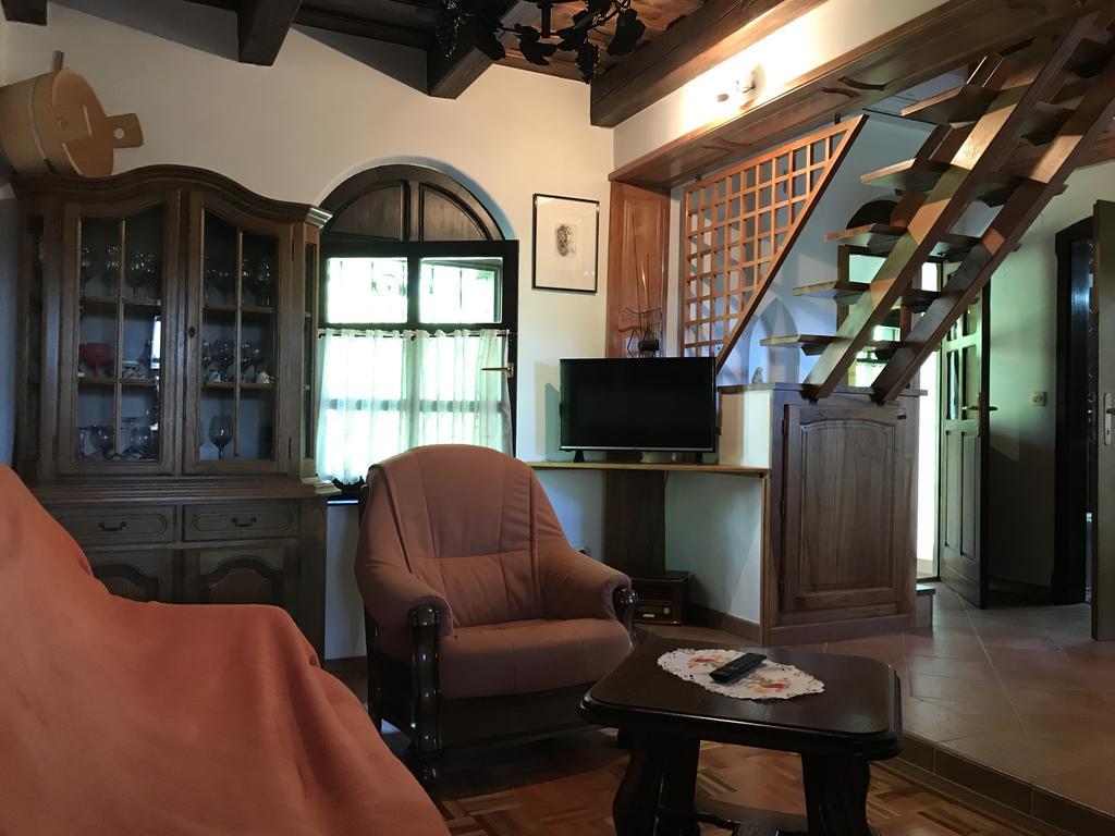 Wine & Nature & Tour Zgornji Leskovec Ngoại thất bức ảnh