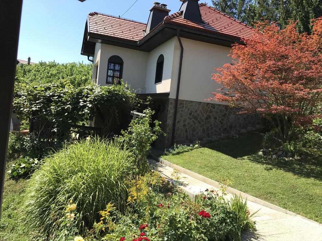 Wine & Nature & Tour Zgornji Leskovec Ngoại thất bức ảnh