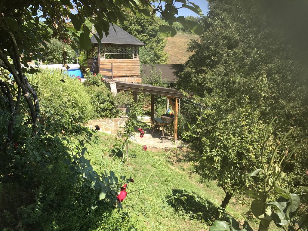 Wine & Nature & Tour Zgornji Leskovec Ngoại thất bức ảnh