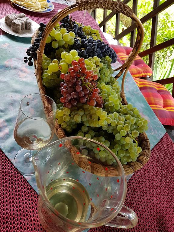 Wine & Nature & Tour Zgornji Leskovec Ngoại thất bức ảnh