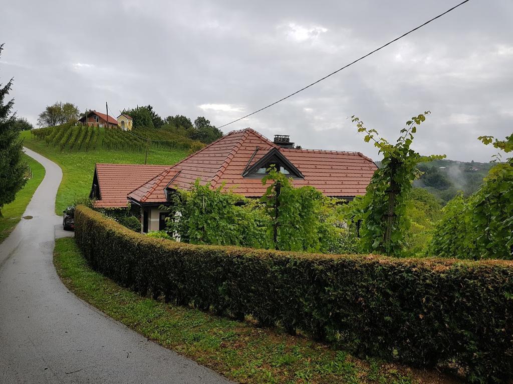 Wine & Nature & Tour Zgornji Leskovec Ngoại thất bức ảnh